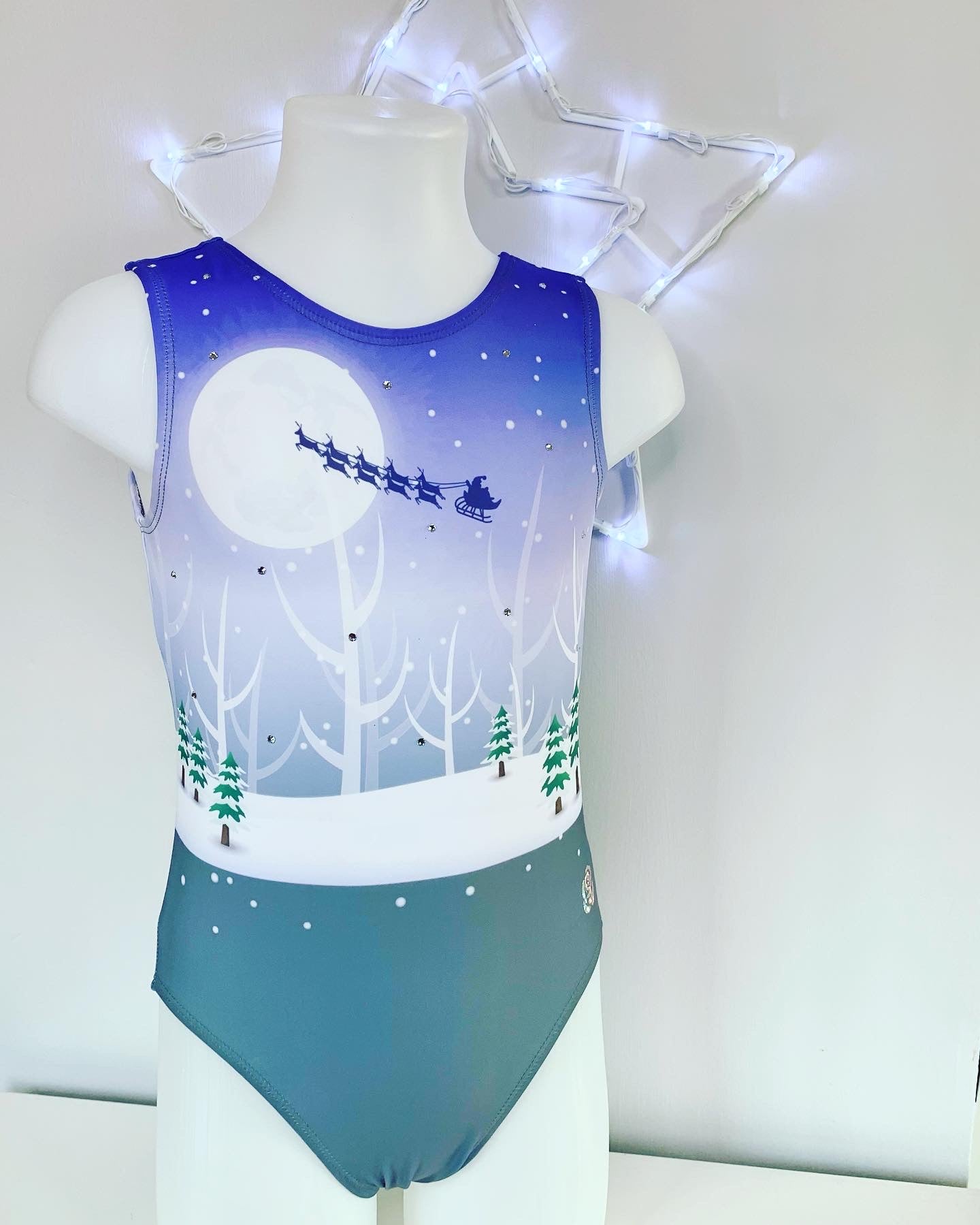 Winter Scene Leotard